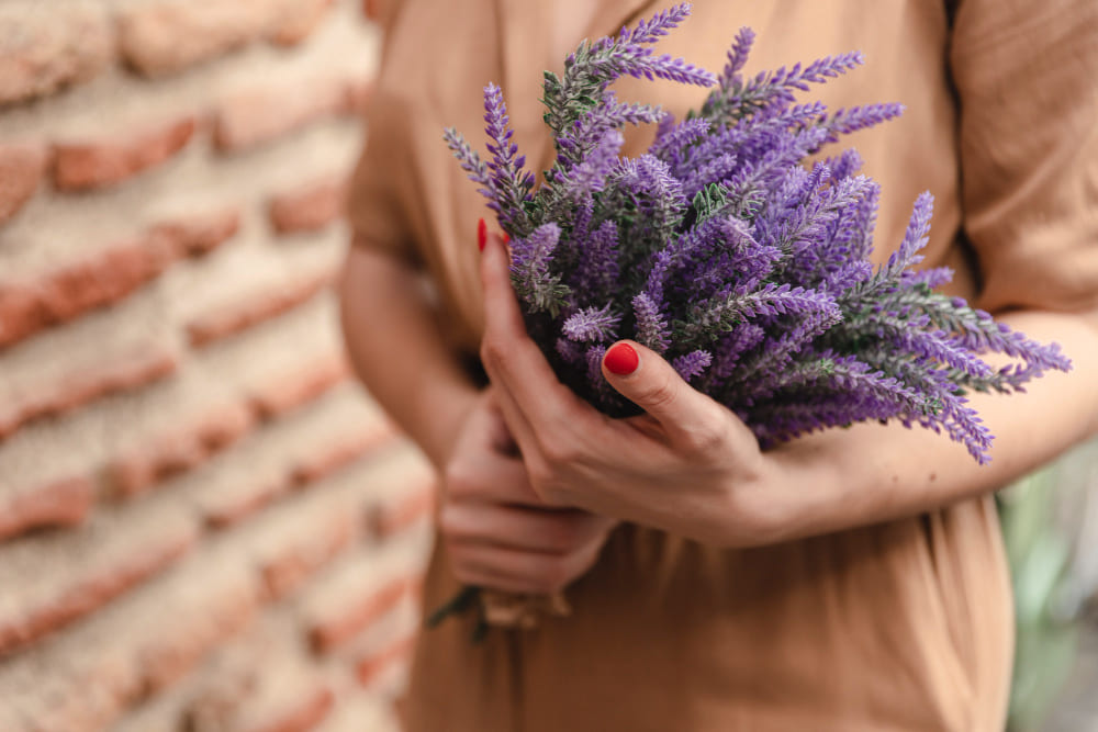 holding bouquet of lavender